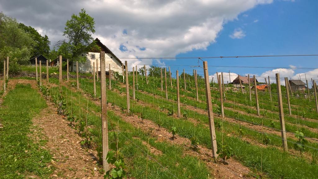 Vineyard Cottage Lustek Novo Mesto Exterior foto